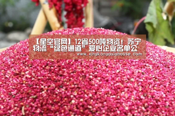 【星空官网】12省500吨物资!苏宁物流“绿色通道”爱心企业名单公布(图1) 星空官网