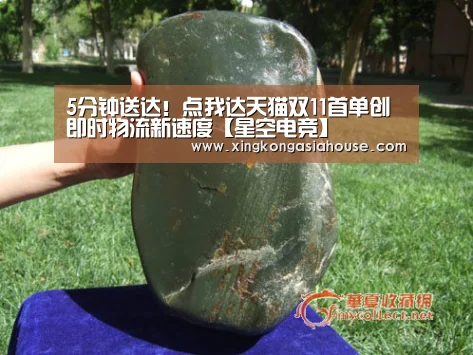 5分钟送达!点我达天猫双11首单创即时物流新速度【星空电竞】(图2) 星空官网