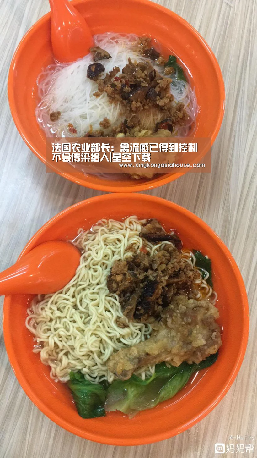法国农业部长:禽流感已得到控制 不会传染给人|星空下载(图1) 星空APP