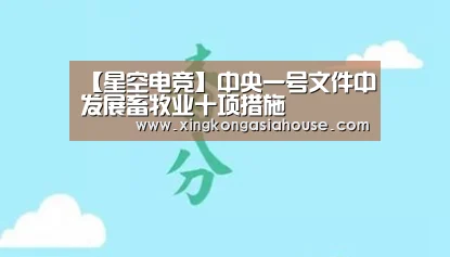 星空官网